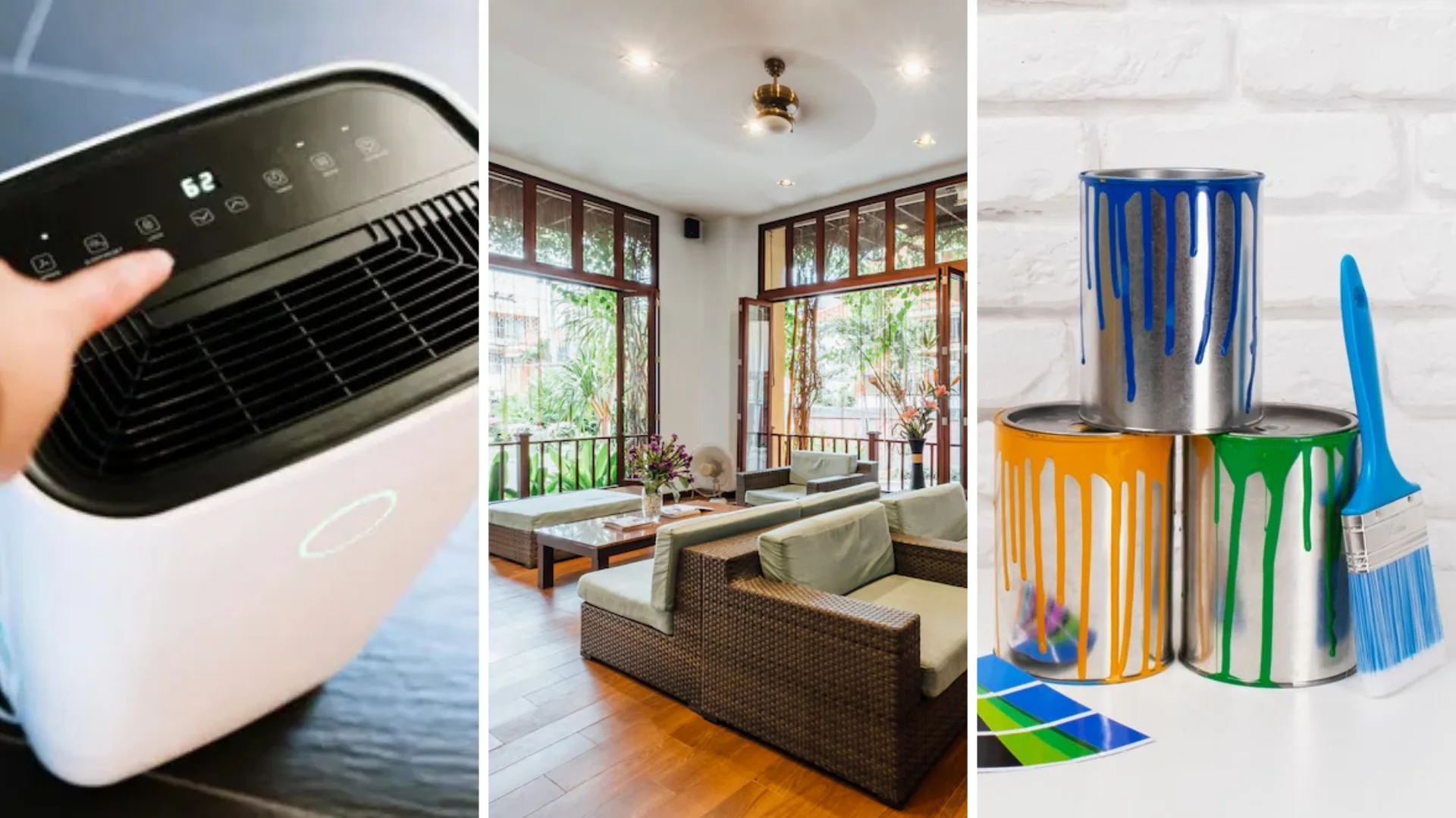Improve Indoor Air Quality with Air Purifier, Natural Cross Ventilation and Non-toxic Paints